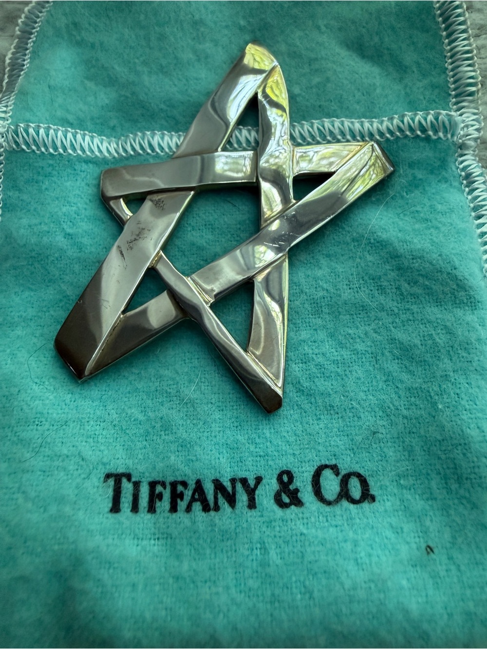 Tiffany & Co. Star of David Pendant - Paloma Picasso Brooch